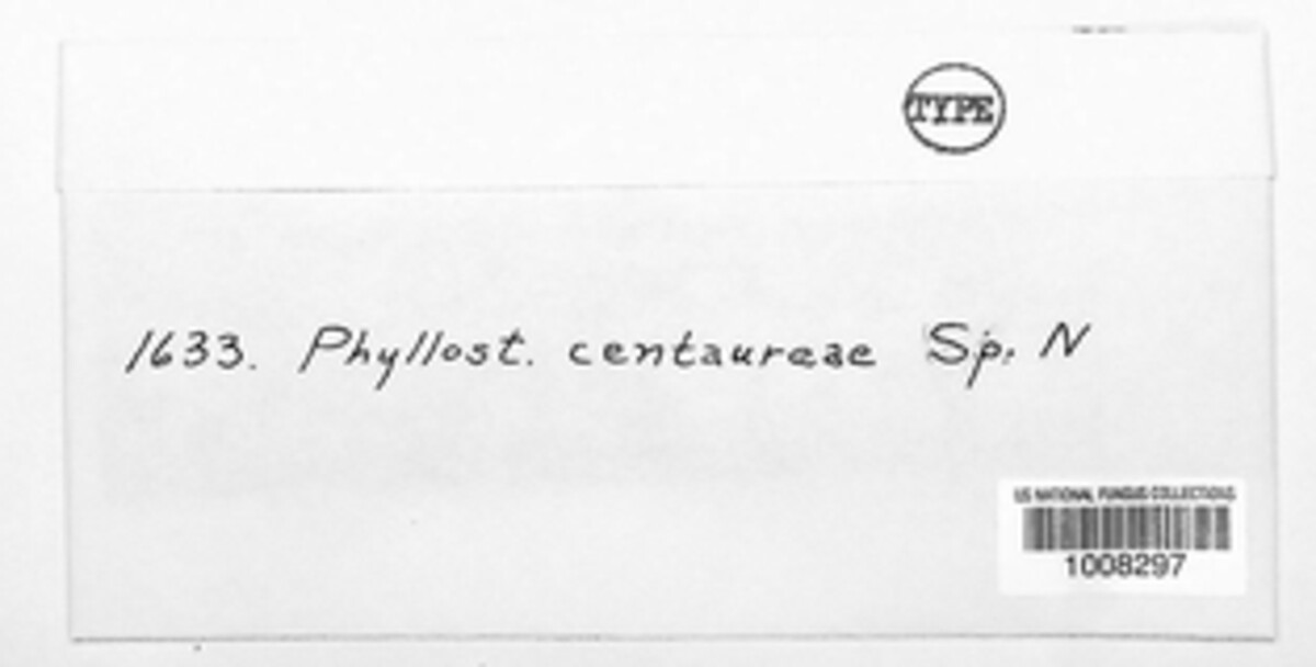 Septoria centaureae image